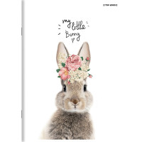 Zeszyt A5/16k linia podwójna kolorowa mix Top Basic